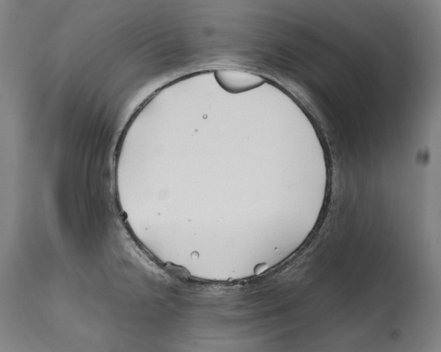 X0000112371238200909241142