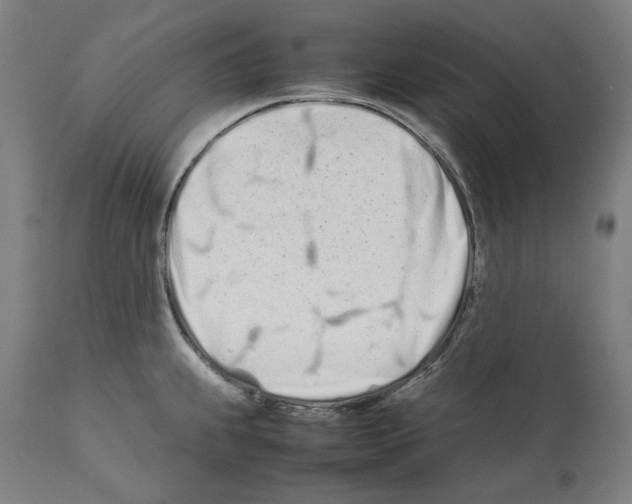 X0000112371239200909241142