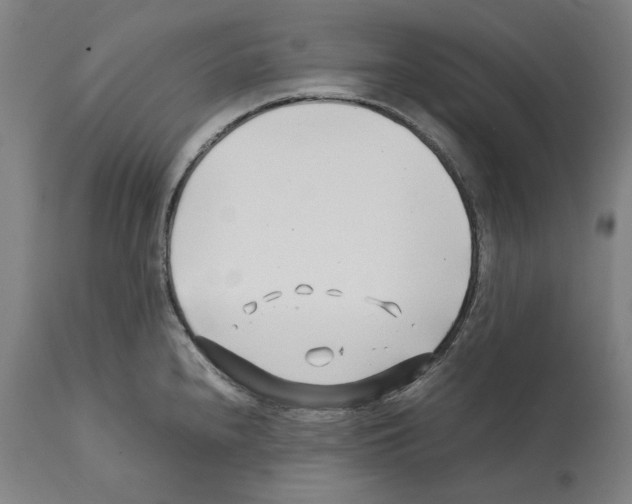 X0000112371240200909241142
