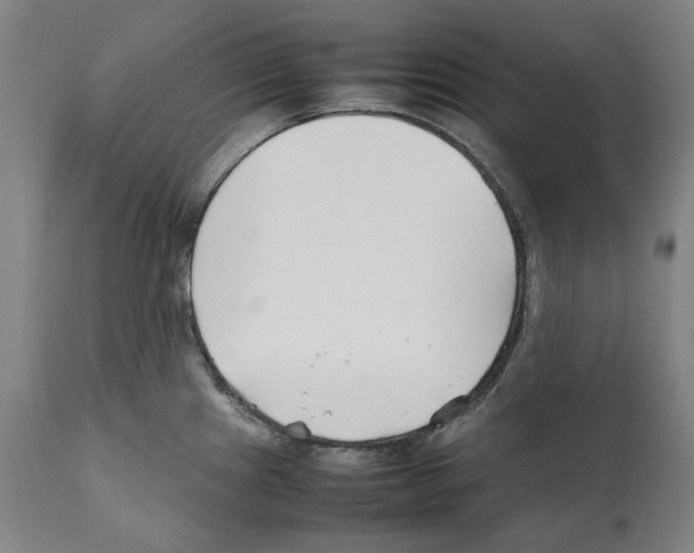 X0000112371241200909241142