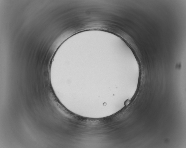 X0000112371242200909241142
