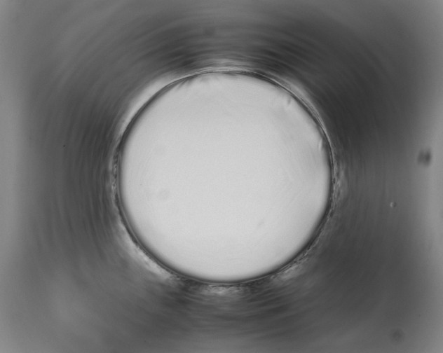 X0000112371243200909241142