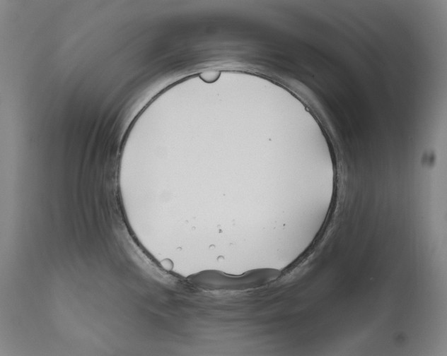 X0000112371244200909241142