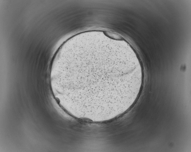 X0000112371246200909241142