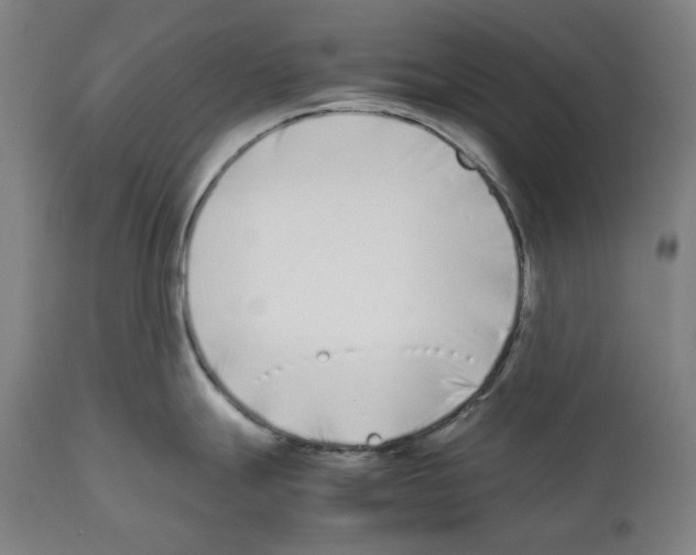 X0000112371247200909241142