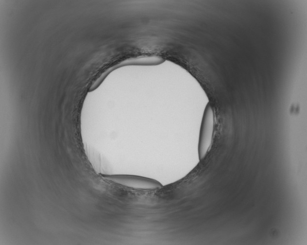 X0000112371249200909241141