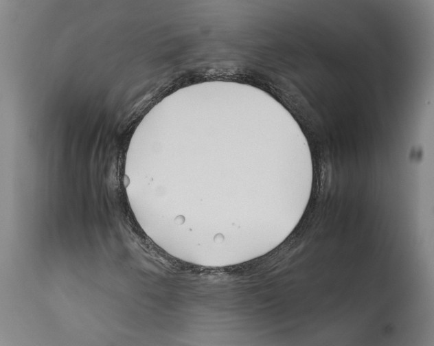 X0000112371250200909241141