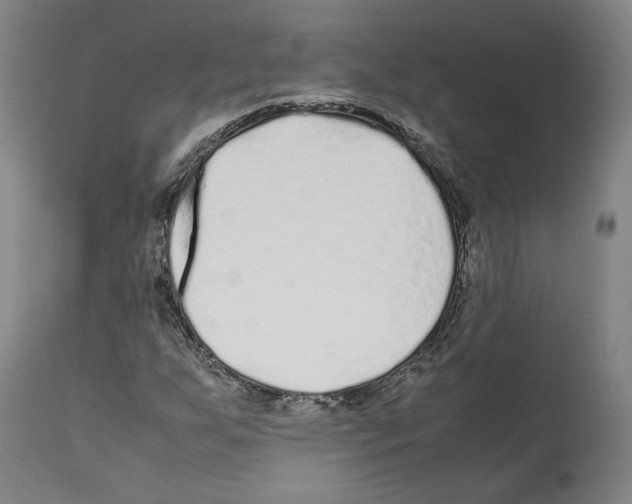 X0000112371255200909241141