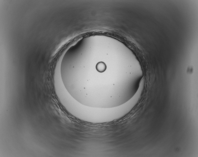 X0000112371256200909241141