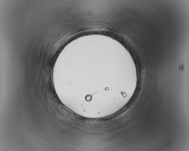 X0000112371257200909241141