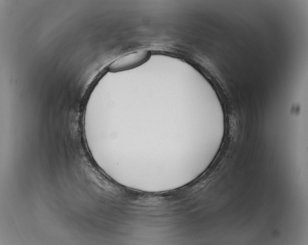 X0000112371260200909241141