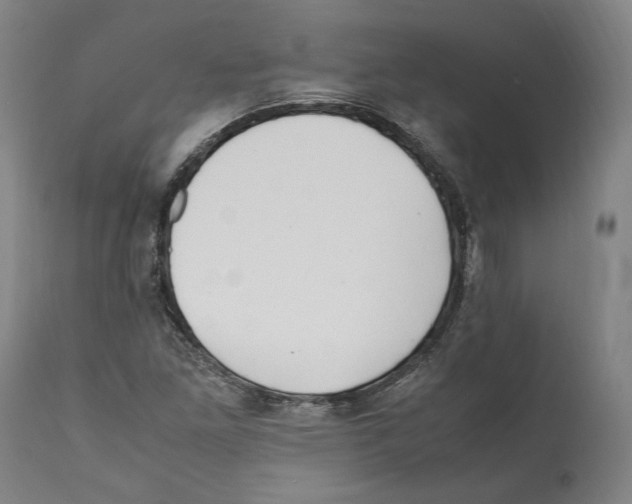 X0000112371261200909241141