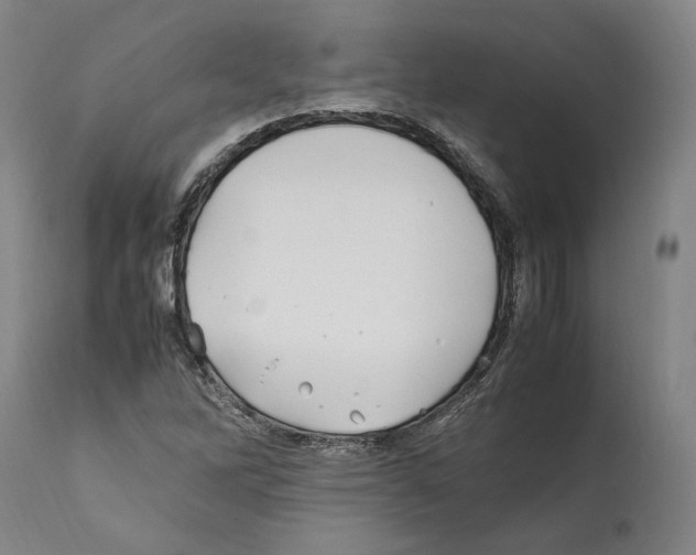 X0000112371262200909241141