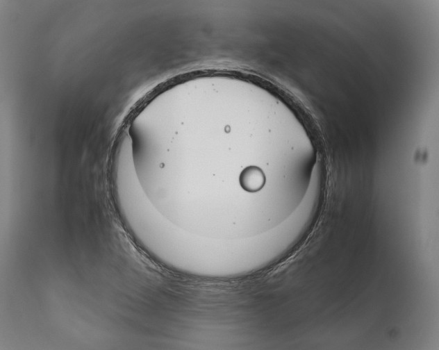 X0000112371264200909241141