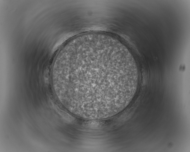 X0000112371266200909241141
