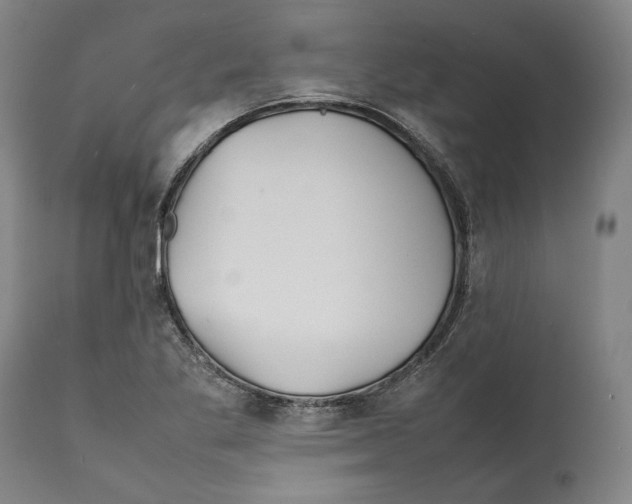 X0000112371269200909241141