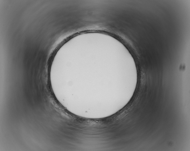 X0000112371270200909241141