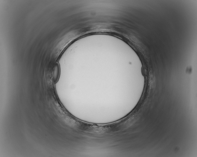 X0000112371273200909241141