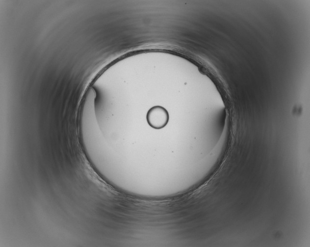 X0000112371276200909241141