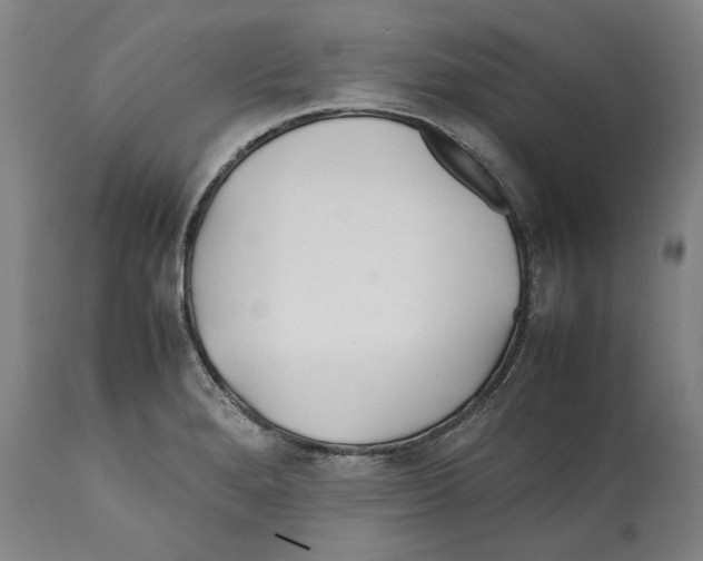 X0000112371280200909241141