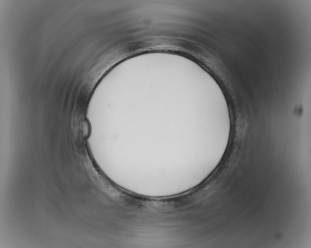 X0000112371281200909241141
