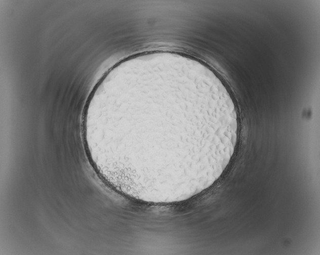 X0000112371283200909241141