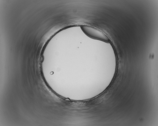 X0000112371285200909241141
