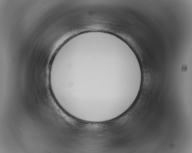 X0000112371286200909241141