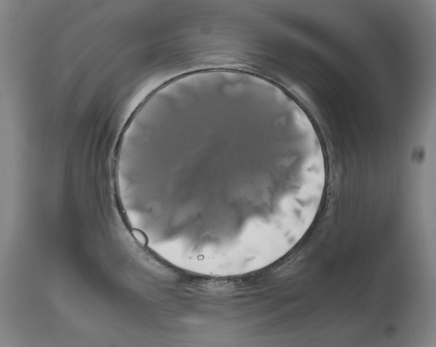 X0000112371291200909241141