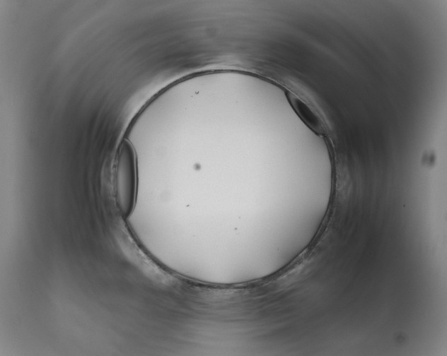 X0000112371292200909241141