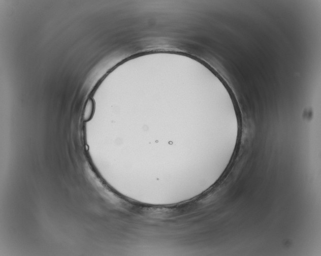 X0000112371293200909241141