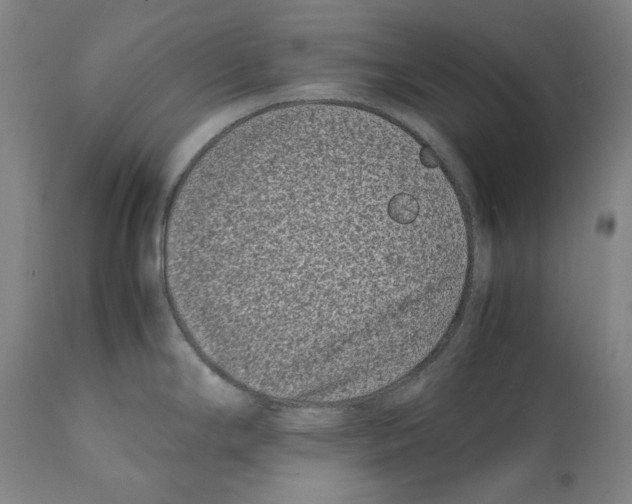 X0000112371294200909241141