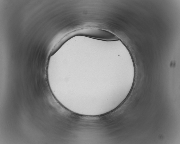 X0000112371296200909241141