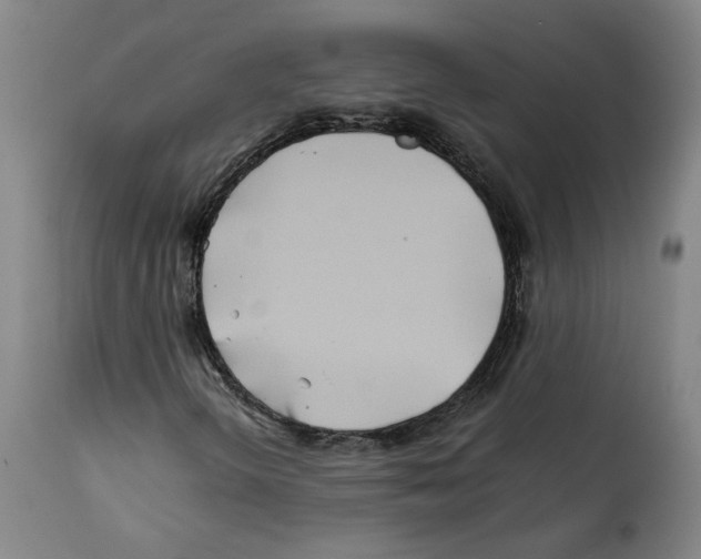 X0000112371298200909241140