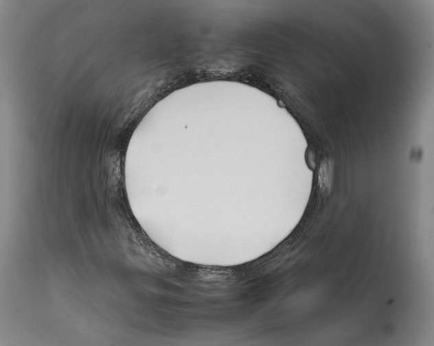X0000112371299200909241140
