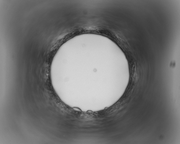 X0000112371301200909241140