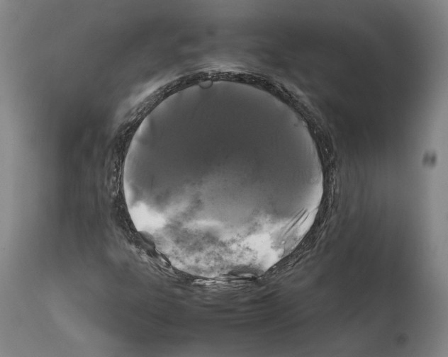 X0000112371303200909241140