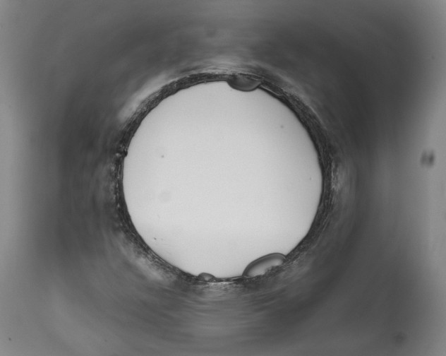 X0000112371304200909241140