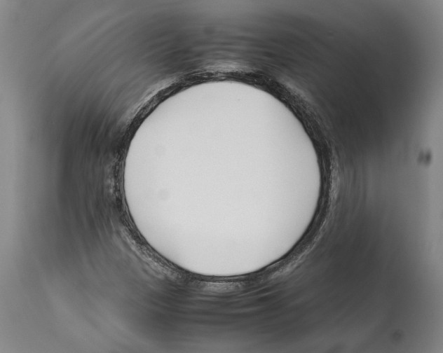 X0000112371305200909241140