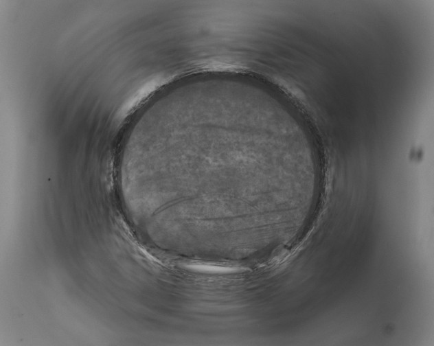 X0000112371306200909241140