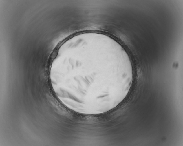X0000112371308200909241140