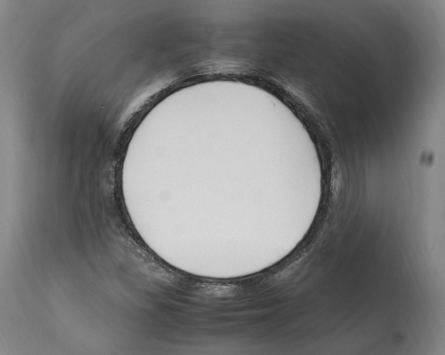 X0000112371309200909241140