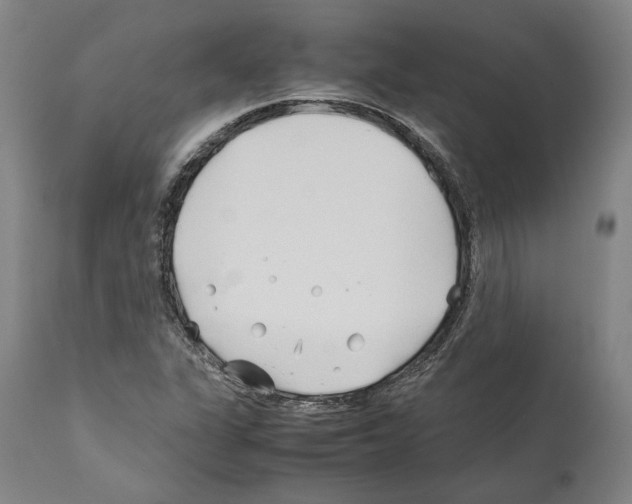 X0000112371311200909241140
