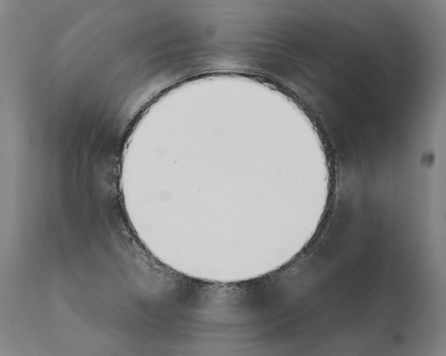 X0000112371314200909241140