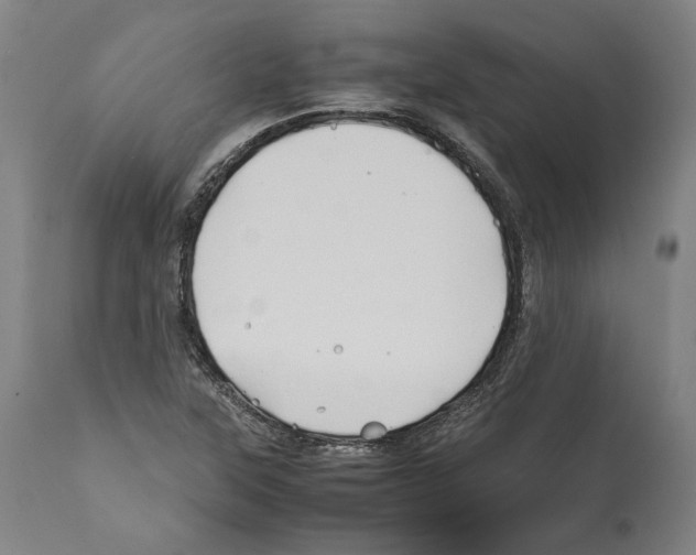 X0000112371315200909241140