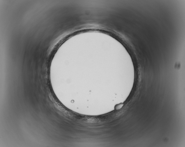 X0000112371318200909241140