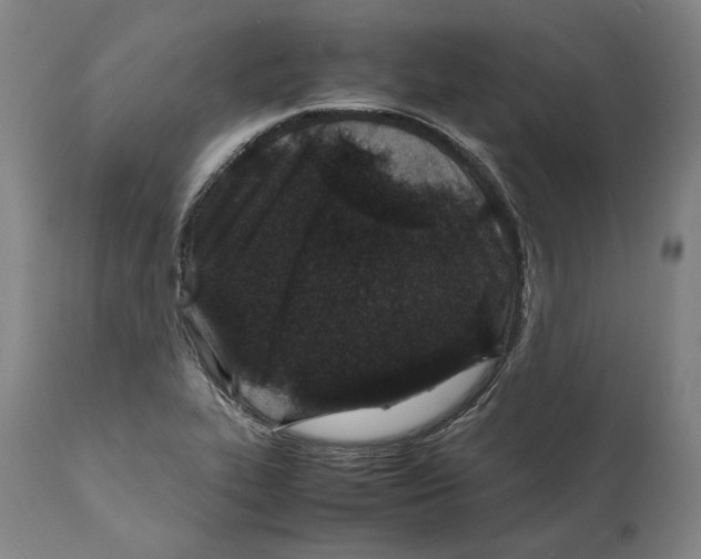 X0000112371319200909241140