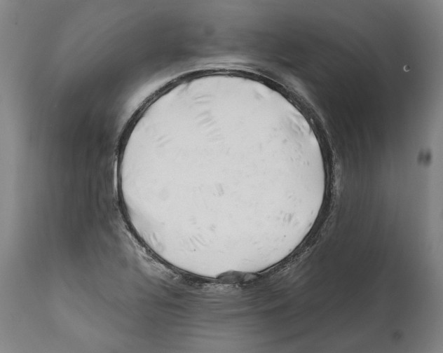X0000112371320200909241140