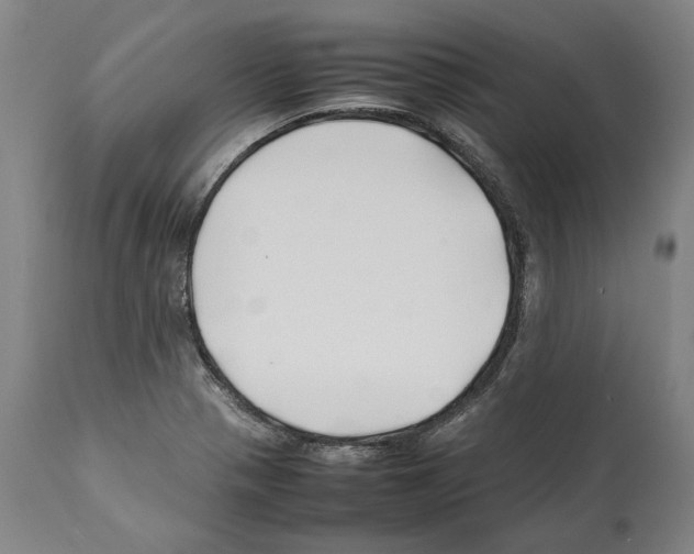 X0000112371321200909241140