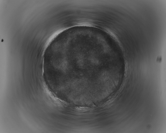 X0000112371323200909241140
